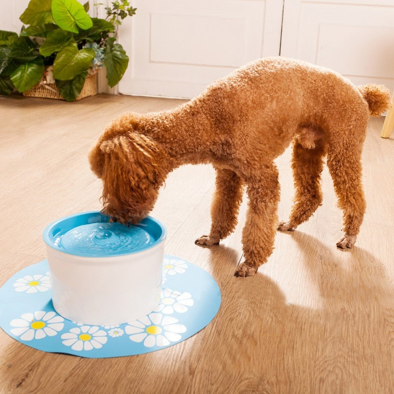 Automatic Pet Water Dispenser