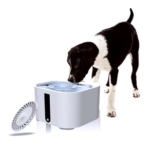 Pet Automatic Water Fountain Dispenser
